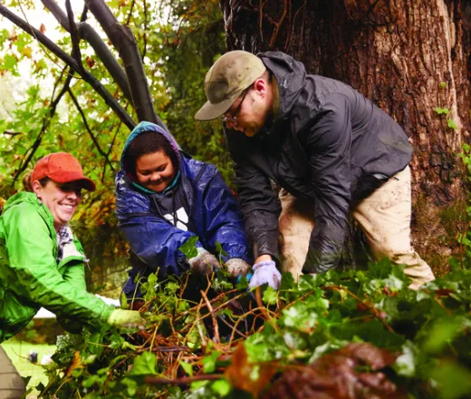 2 Adults and Teen doing yard work